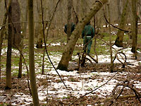 Forested Floodplain 3/1/07
