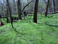 Floodplain April 12 2007