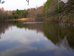 Merrimac Farm Floodplain