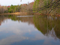 Farm Pond
