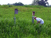 Nesting boxes at the Occoquoan Bay Refuge