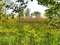 A diversity of high quality habitats