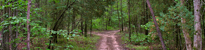 Dove's Landing