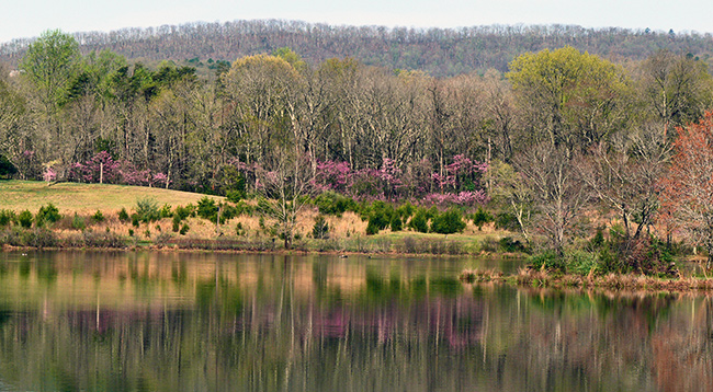 Silver Lake Park by Larry Meade