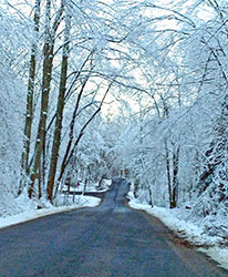 Waterfall Road