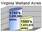 Wetlands lost