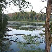 View from Quantico Creek