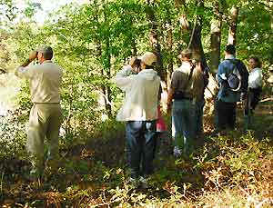 Prince William's Potomac River shoreline is a birding hotspot.