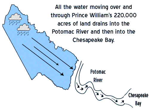 Prince William in the Potomac watershed