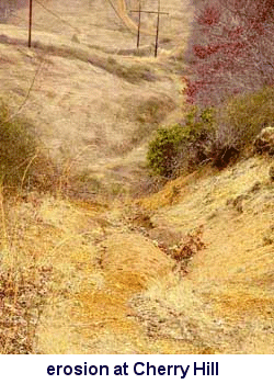 erosion along powerline at Cherry Hill