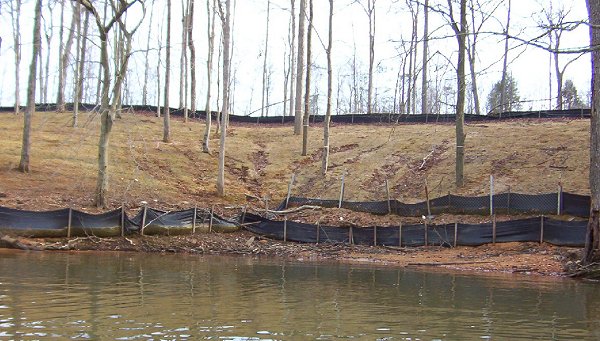 January, 2004 image of shoreline development