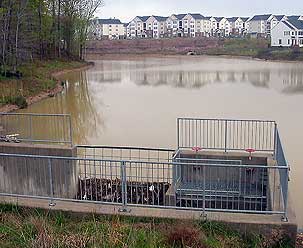 Stormwater Pond at KSIs Town Center near McCoart Government Center