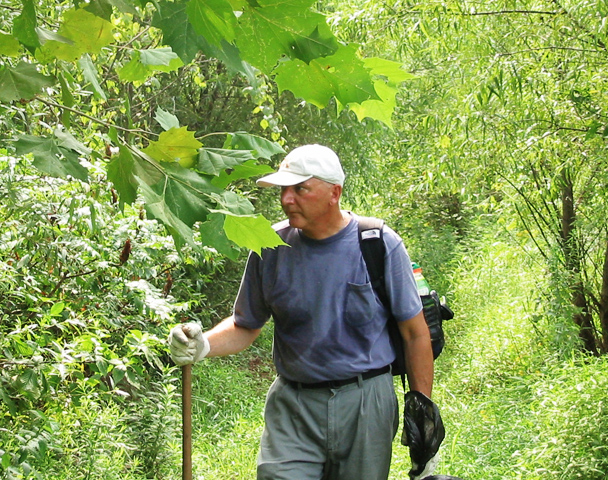 hiking at Metz wetland